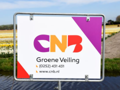 Highlighted image: Volop groene veilingen